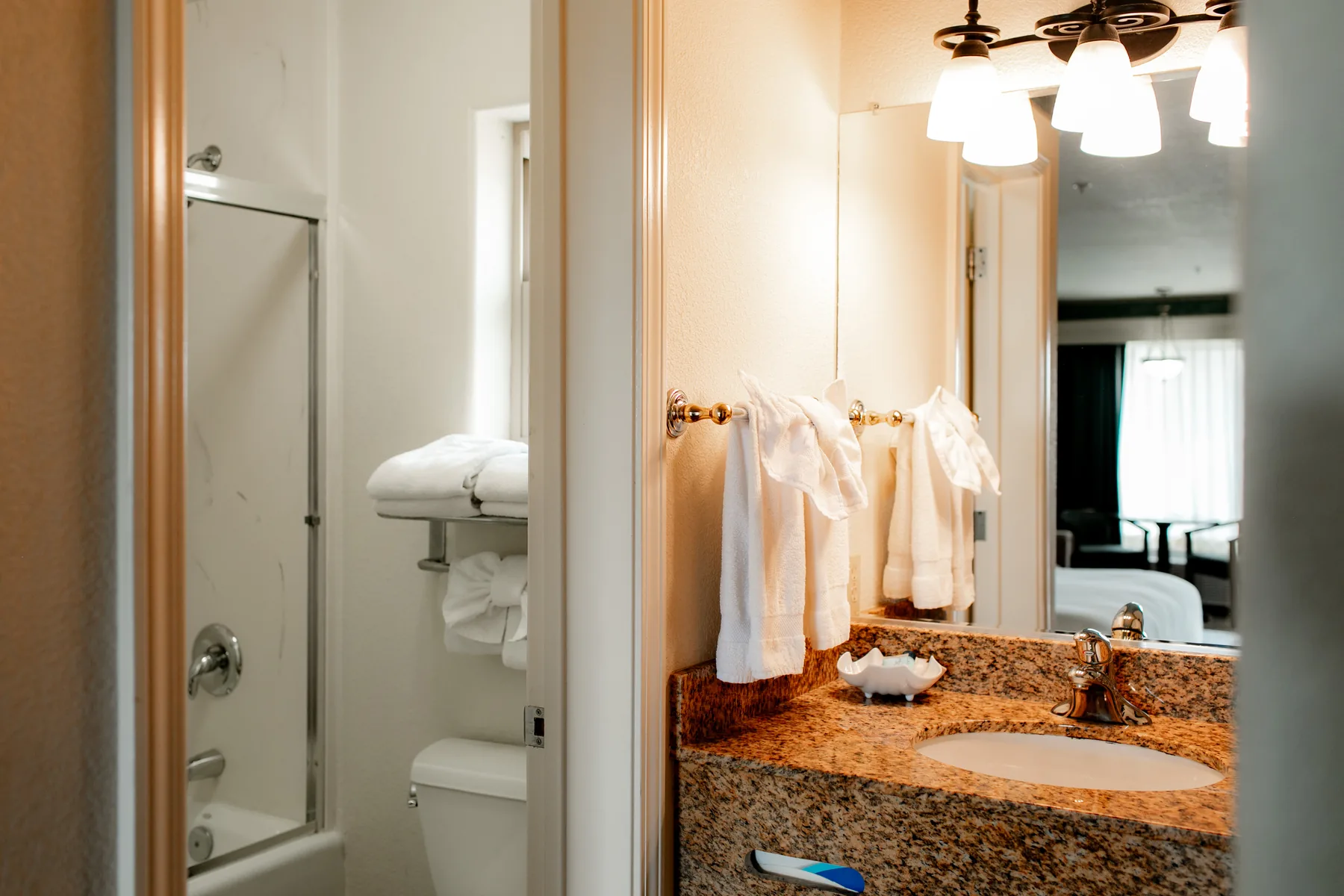 Bathroom vanity and shower area